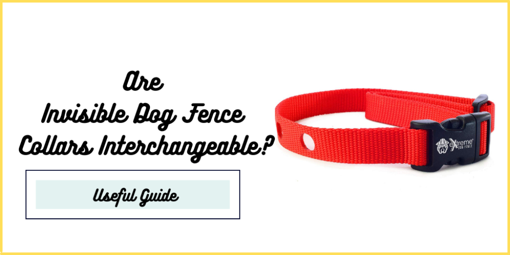 Are Invisible Dog Fence Collars Interchangeable?