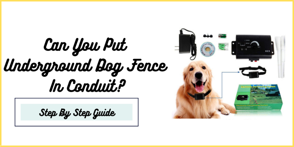 Can You Put Underground Dog Fence In Conduit?