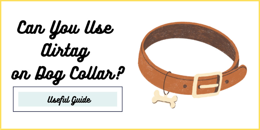 Can You Use Airtag on Dog Collar?