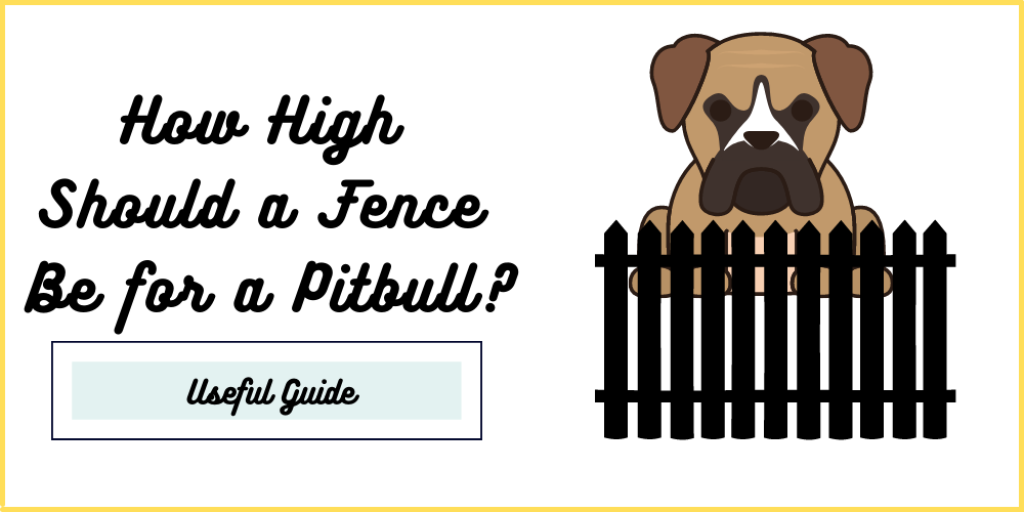 How High Should a Fence Be for a Pitbull?
