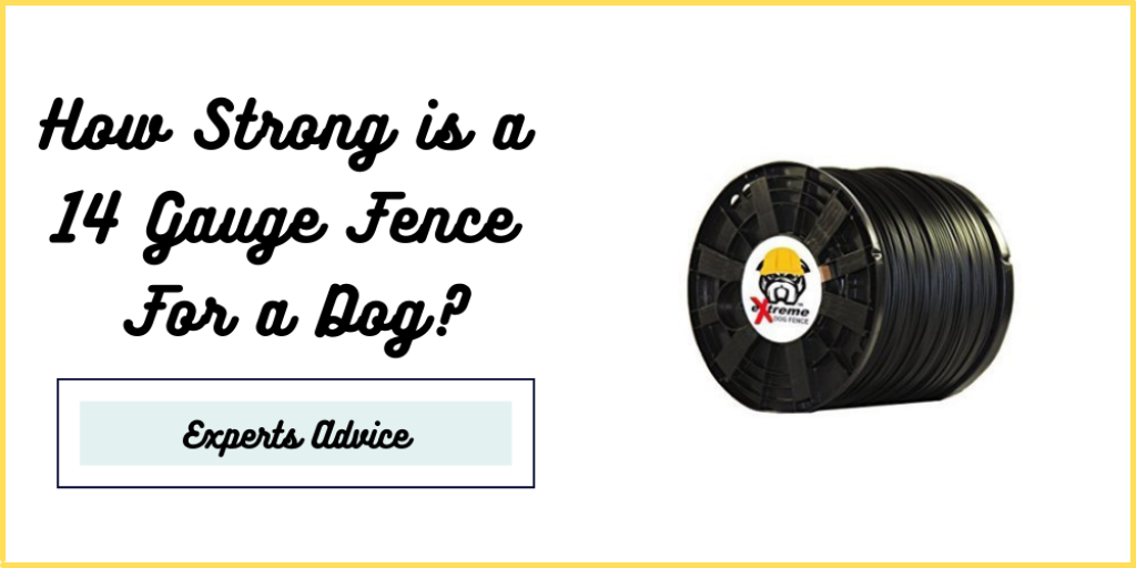 How Strong is a 14 Gauge Fence For a Dog?