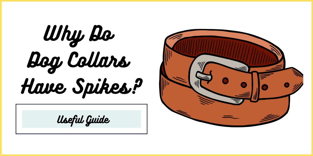 Why Do Dog Collars Have Spikes? Ultimate Guide