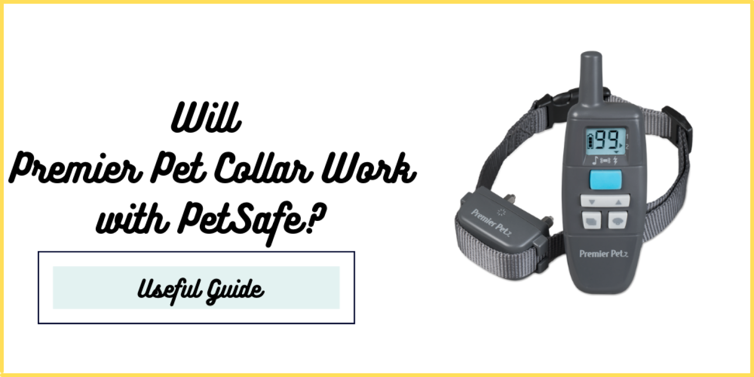 Will Premier Pet Collar Work with PetSafe? [Explained]