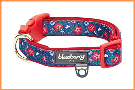 Blueberry Pet Soft & Comfy Padded Polyester Dog Collar