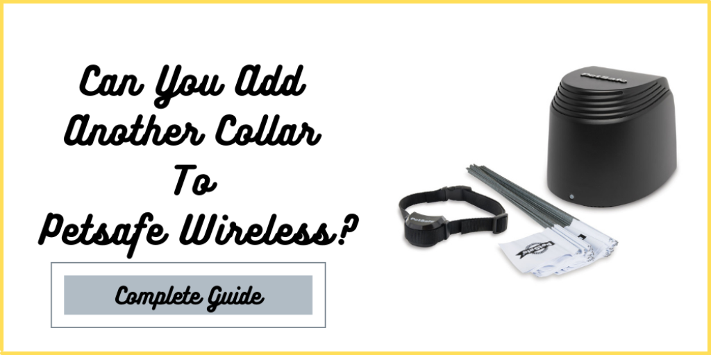 Can You Add Another Collar To Petsafe Wireless?