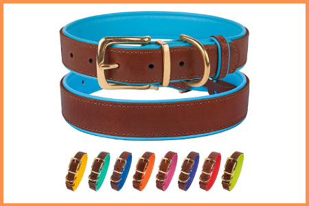 CollarDirect Soft Padded Leather Dog Collar