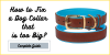 How to Fix a Dog Collar that is too Big?