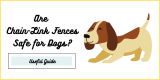 Are Chain-Link Fences Safe for Dogs?