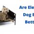 What Material Is Good to Fill a Dog Bed?