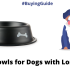 Best No Monthly Fee GPS Dog Collars