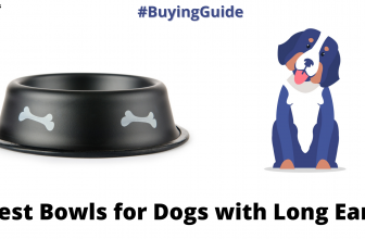 Best Bowls for Dogs with Long Ears