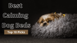 Best Calming Dog Beds