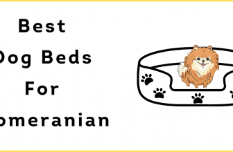 Best Dog Beds For Pomeranian