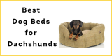 Best Dog Beds for Dachshunds