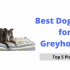 Best Dog Beds for Miniature Schnauzers