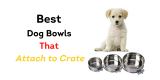 Best Dog Bowls That Attach to Crate