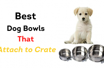 Best Dog Bowls That Attach to Crate