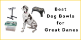Best Elevated Dog Bowls for Great Danes