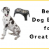 How Can I Keep my Dog in Yard Without Fence?