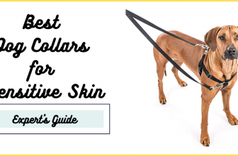 Best Dog Collars for Sensitive Skin (No Rub Dog Collar)