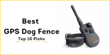 Best GPS Dog Fence
