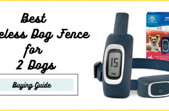 Best Wireless Dog Fence for 2 Dogs