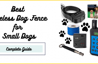 Best Wireless Dog Fence for Small Dogs