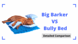 Big Barker VS Bully Bed