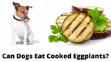 Can Dogs Eat Cooked Eggplants?