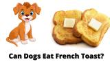 Can Dogs Eat French Toast?