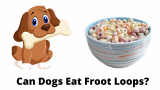 Can Dogs Eat Froot Loops?