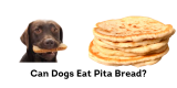 Can Dogs Eat Pita Bread?