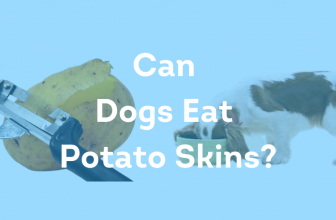 Can Dogs Eat Potato Skins? – Things You Should Know