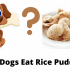 Can Dogs Eat Tuna Salad Or Tuna With Mayo?