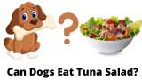 Can Dogs Eat Tuna Salad Or Tuna With Mayo?