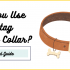 Will Premier Pet Collar Work with PetSafe?