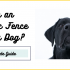 Do Vets Recommend an Invisible Dog Fence?