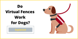 Do Virtual Fences Work for Dogs?
