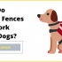 Best Wireless Dog Fence for Large Acreage