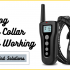 How to Fix a Dog Collar that is too Big?