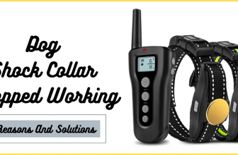 Dog Shock Collar Stopped Working
