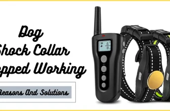 Dog Shock Collar Stopped Working