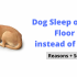 What Material Is Good to Fill a Dog Bed?