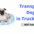 Why Do Dogs Lick Their Beds?