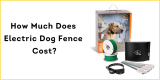 How Much Does Electric Dog Fence Cost?