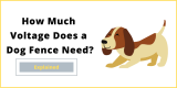 How Much Voltage Does a Dog Fence Need?