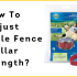 How High Should A Dog Fence Be For A Labrador?