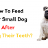 Can Dogs Eat Potato Skins? – Things You Should Know