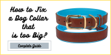 How to Fix a Dog Collar that is too Big?