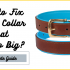 Can You Add Another Collar To Petsafe Wireless Fence?